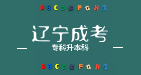 遼寧成考專升本語文科目考試技巧