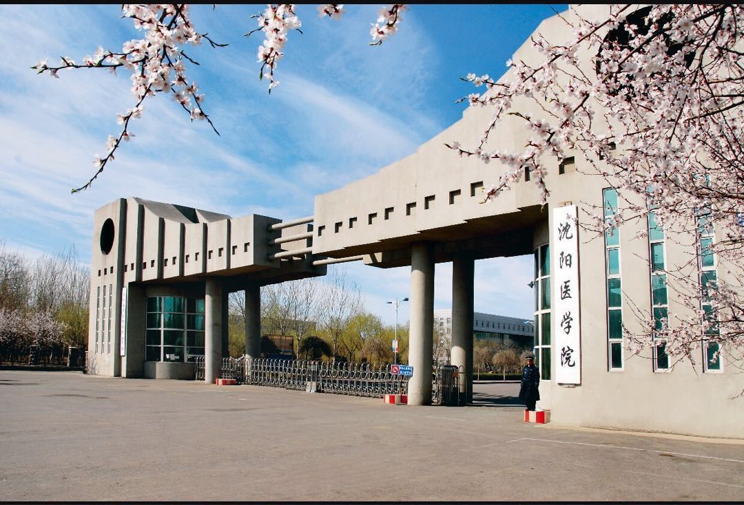 沈陽醫學院成人高考招生簡章